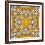A Floral Montage with Leafes-Alaya Gadeh-Framed Photographic Print