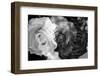 A Floral Montage-Alaya Gadeh-Framed Photographic Print