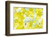 A Floral Montage-Alaya Gadeh-Framed Photographic Print