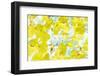 A Floral Montage-Alaya Gadeh-Framed Photographic Print