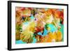 A Floral Montage-Alaya Gadeh-Framed Photographic Print