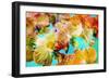 A Floral Montage-Alaya Gadeh-Framed Photographic Print