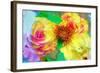 A Floral Montage-Alaya Gadeh-Framed Photographic Print