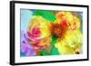 A Floral Montage-Alaya Gadeh-Framed Photographic Print