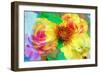 A Floral Montage-Alaya Gadeh-Framed Photographic Print