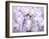 A Floral Montage-Alaya Gadeh-Framed Photographic Print