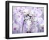 A Floral Montage-Alaya Gadeh-Framed Photographic Print