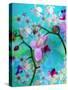 A Floral Montage-Alaya Gadeh-Stretched Canvas