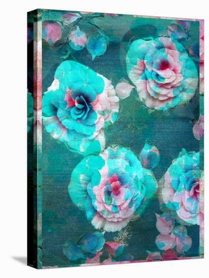 A Floral Montage-Alaya Gadeh-Stretched Canvas