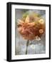 A Floral Montage-Alaya Gadeh-Framed Photographic Print