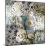 A Floral Montage-Alaya Gadeh-Mounted Photographic Print