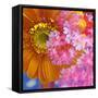 A Floral Montage-Alaya Gadeh-Framed Stretched Canvas