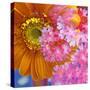 A Floral Montage-Alaya Gadeh-Stretched Canvas