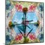 A Floral Montage-Alaya Gadeh-Mounted Photographic Print