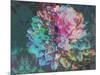 A Floral Montage-Alaya Gadeh-Mounted Photographic Print