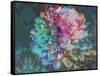 A Floral Montage-Alaya Gadeh-Framed Stretched Canvas