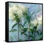 A Floral Montage-Alaya Gadeh-Framed Stretched Canvas