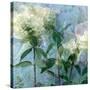 A Floral Montage-Alaya Gadeh-Stretched Canvas