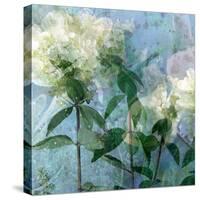 A Floral Montage-Alaya Gadeh-Stretched Canvas