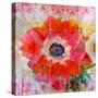 A Floral Montage-Alaya Gadeh-Stretched Canvas