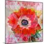 A Floral Montage-Alaya Gadeh-Mounted Photographic Print