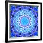 A Floral Montage-Alaya Gadeh-Framed Photographic Print