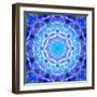 A Floral Montage-Alaya Gadeh-Framed Photographic Print