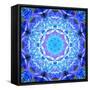 A Floral Montage-Alaya Gadeh-Framed Stretched Canvas