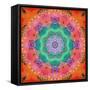 A Floral Montage-Alaya Gadeh-Framed Stretched Canvas