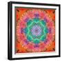 A Floral Montage-Alaya Gadeh-Framed Photographic Print