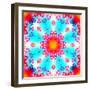 A Floral Montage-Alaya Gadeh-Framed Photographic Print