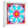 A Floral Montage-Alaya Gadeh-Framed Photographic Print