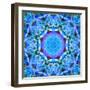 A Floral Montage-Alaya Gadeh-Framed Photographic Print