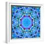 A Floral Montage-Alaya Gadeh-Framed Photographic Print