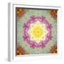 A Floral Montage-Alaya Gadeh-Framed Photographic Print