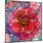 A Floral Montage-Alaya Gadeh-Mounted Photographic Print