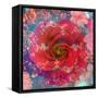 A Floral Montage-Alaya Gadeh-Framed Stretched Canvas