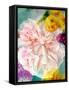 A Floral Montage-Alaya Gadeh-Framed Stretched Canvas