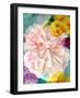 A Floral Montage-Alaya Gadeh-Framed Photographic Print