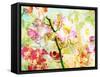 A Floral Montage-Alaya Gadeh-Framed Stretched Canvas