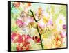 A Floral Montage-Alaya Gadeh-Framed Stretched Canvas