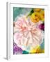 A Floral Montage-Alaya Gadeh-Framed Photographic Print