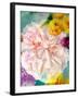 A Floral Montage-Alaya Gadeh-Framed Photographic Print