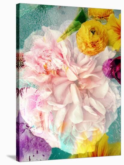 A Floral Montage-Alaya Gadeh-Stretched Canvas