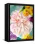 A Floral Montage-Alaya Gadeh-Framed Stretched Canvas