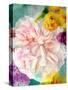 A Floral Montage-Alaya Gadeh-Stretched Canvas