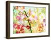 A Floral Montage-Alaya Gadeh-Framed Photographic Print