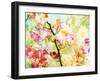 A Floral Montage-Alaya Gadeh-Framed Photographic Print