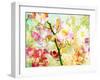 A Floral Montage-Alaya Gadeh-Framed Photographic Print