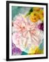 A Floral Montage-Alaya Gadeh-Framed Photographic Print